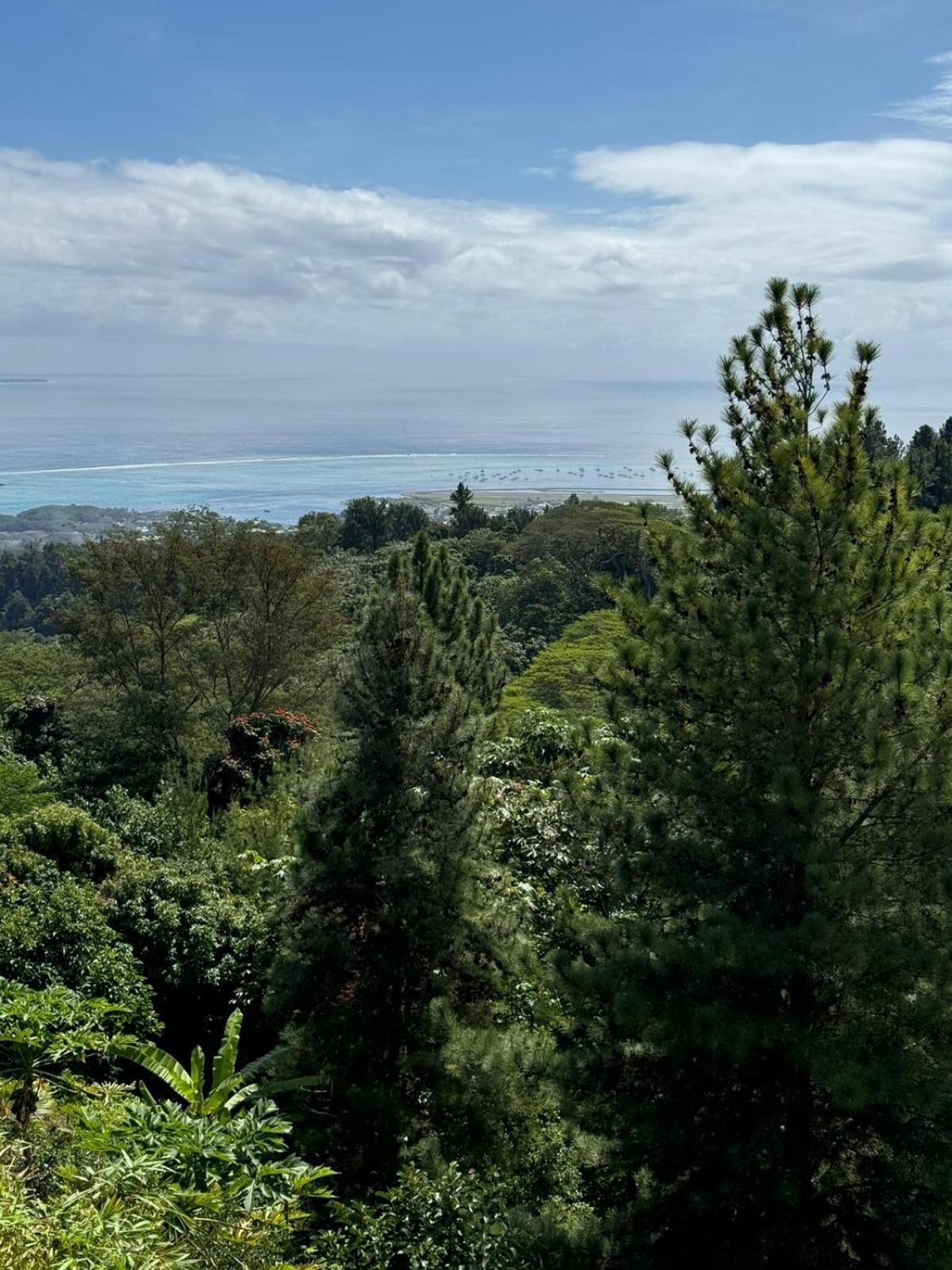 Studio Confort Avec Piscine Et Vue Tahiti Punaauia Exterior photo