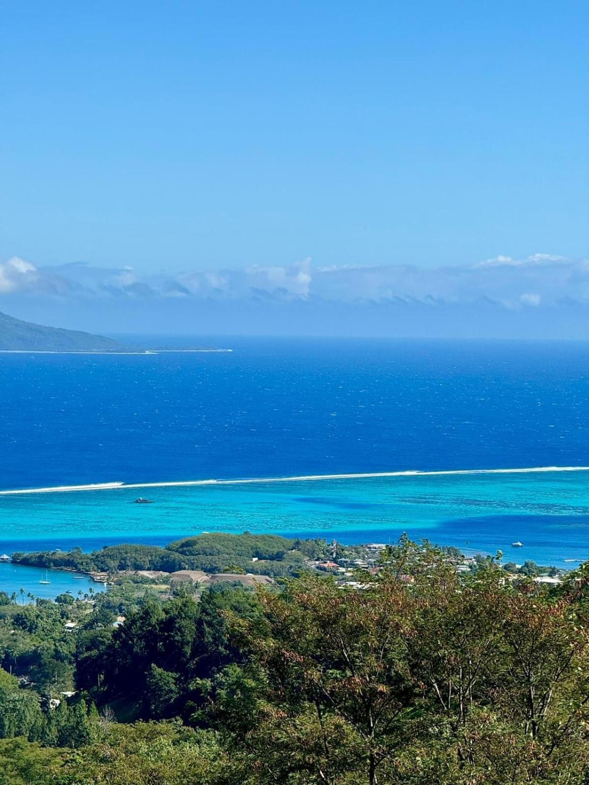 Studio Confort Avec Piscine Et Vue Tahiti Punaauia Exterior photo