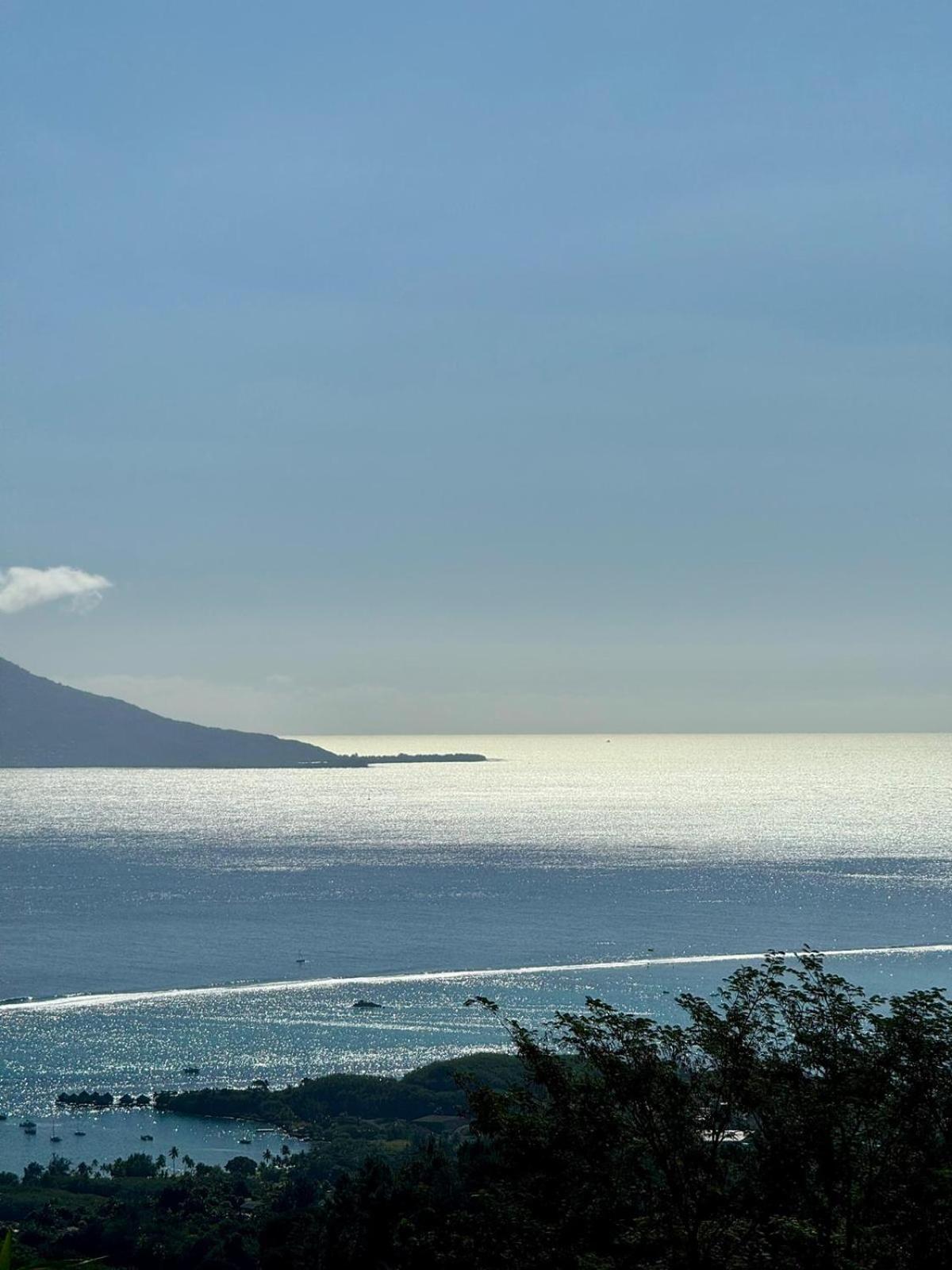 Studio Confort Avec Piscine Et Vue Tahiti Punaauia Exterior photo